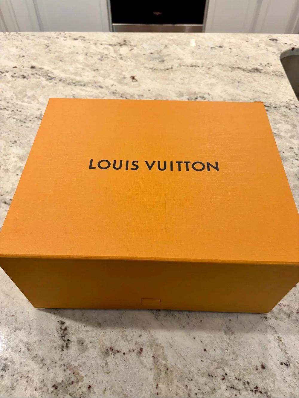 Louis Vuitton iconic louis
